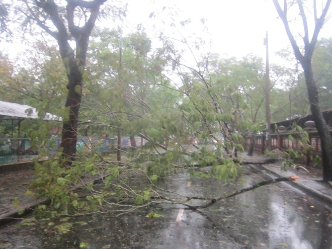 nari, storm, central vietnam