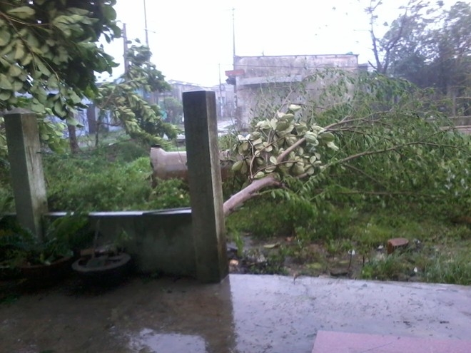 nari, storm, central vietnam