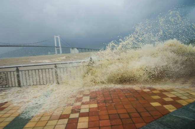 nari, storm, central vietnam