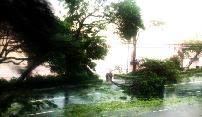 nari, storm, central vietnam