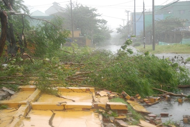 nari, storm, central vietnam