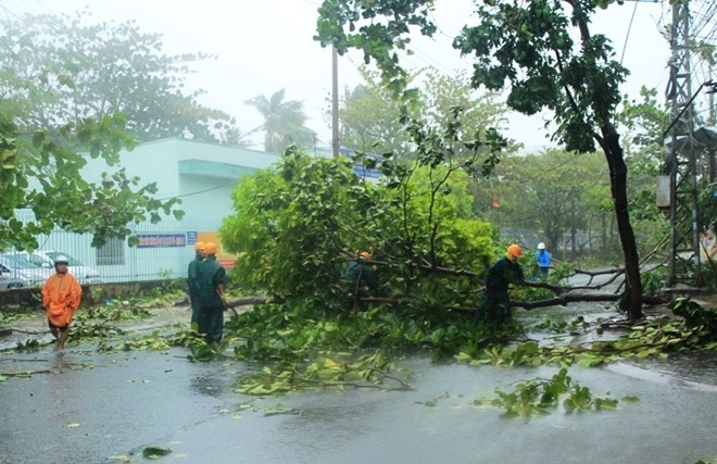 nari, storm, central vietnam