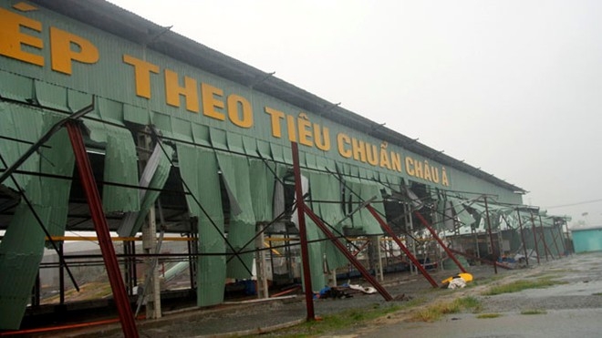 nari, storm, central vietnam