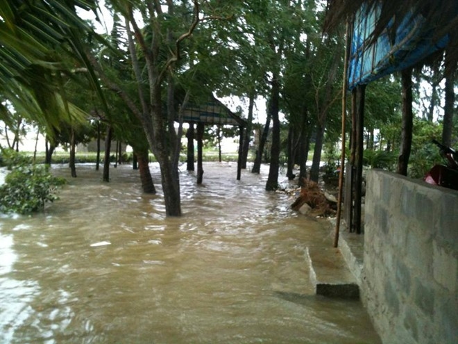 nari, storm, central vietnam