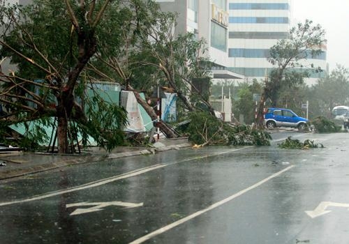 nari, storm, central vietnam