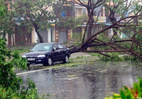 nari, storm, central vietnam