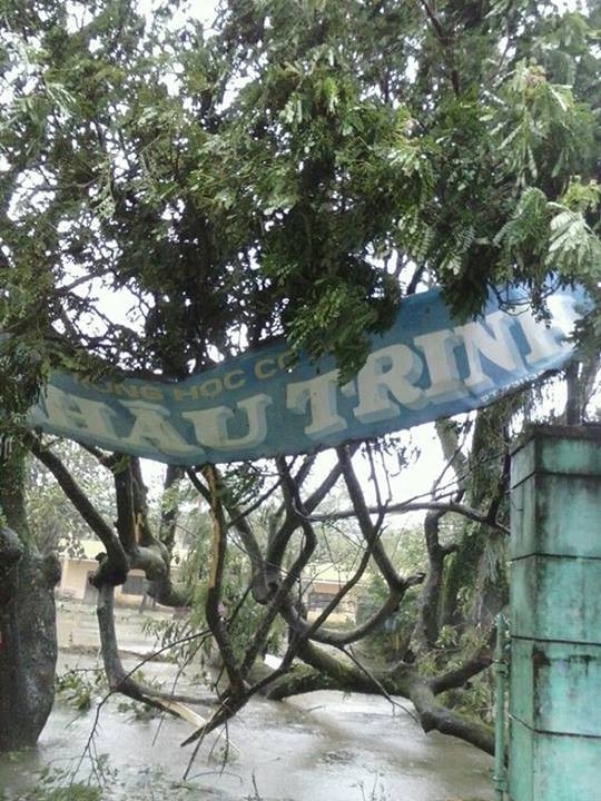 nari, storm, central vietnam