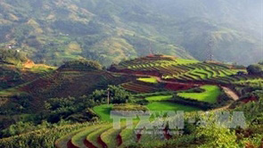 sapa tourist attractions listed in vietnams record book