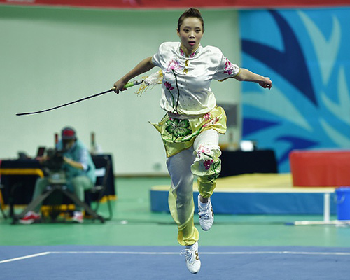 local sportsmen fail to realize set target for asiad 17