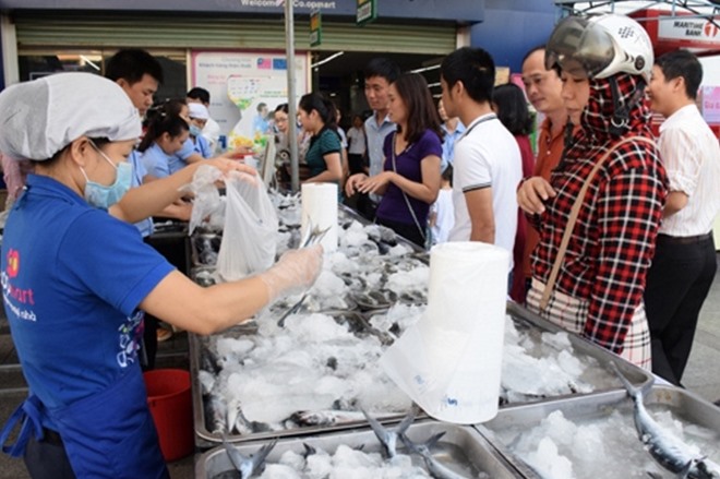 moit supports thua thien hue in monitoring sea fish