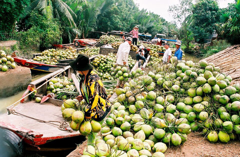 ben tre targets 5000 firms by 2020