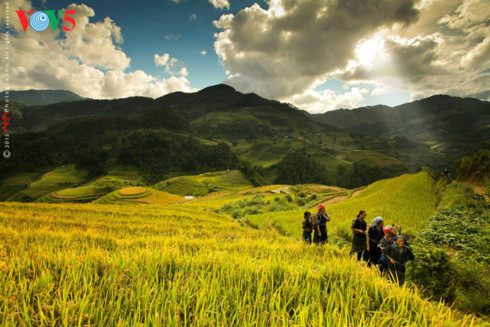 Homestay service offers sustainable tourism
