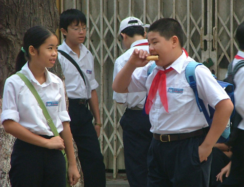 more obese children found in hanoi and hcm city