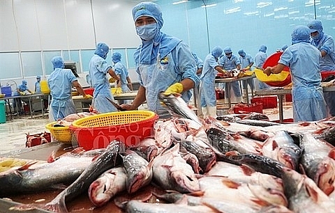 tra fish exports to exceed 2b