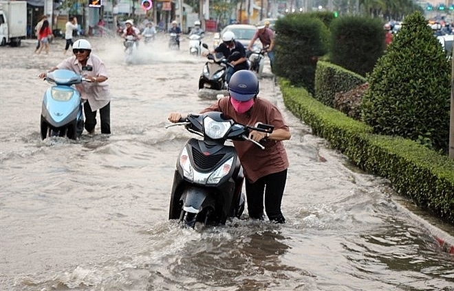 Mekong Delta fights flooding from high tides