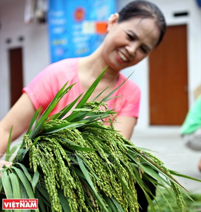 young sticky rice flakes delicacy of hanois autumn