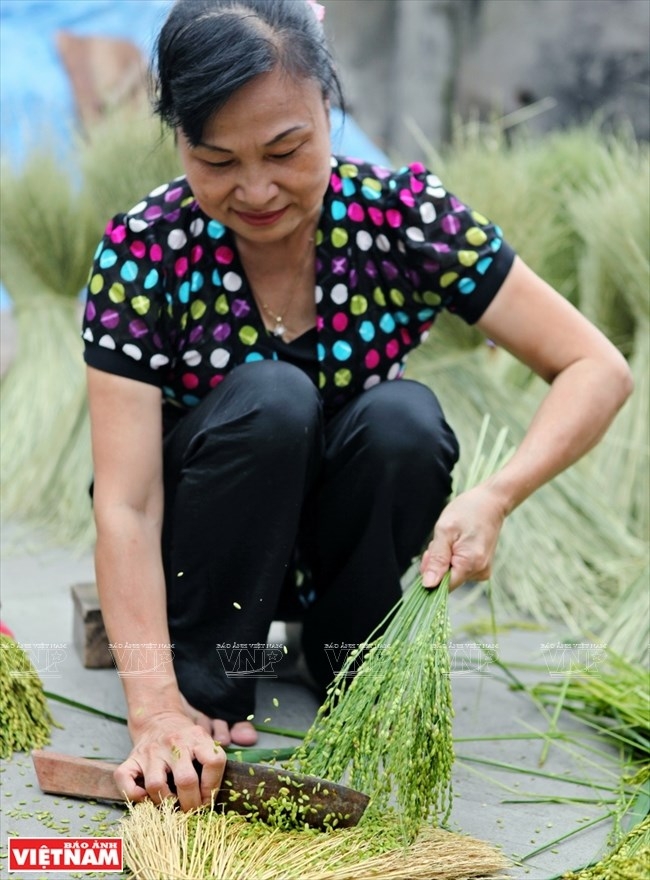 young sticky rice flakes delicacy of hanois autumn