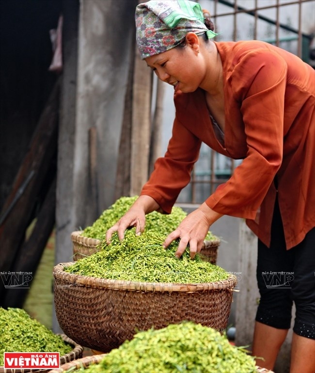 young sticky rice flakes delicacy of hanois autumn