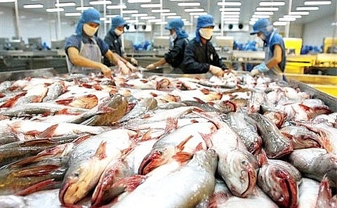 demand for vietnam seafood on the rise
