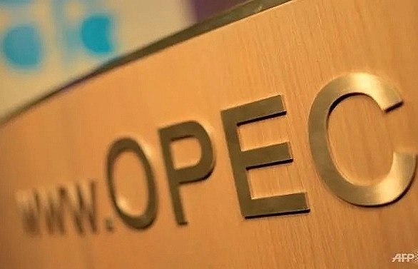 Ecuador says will withdraw from OPEC in January
