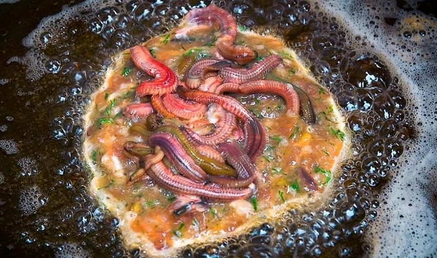 horror dishes to die for when in vietnam