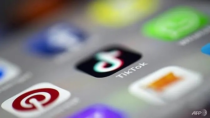 social media app tiktok removes islamic state propaganda videos