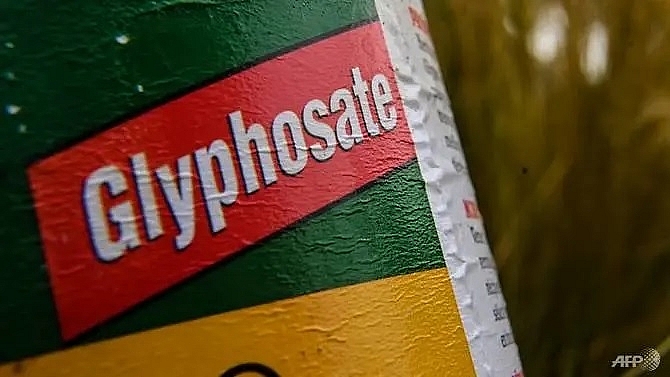 thailand to ban glyphosate and other high profile pesticides