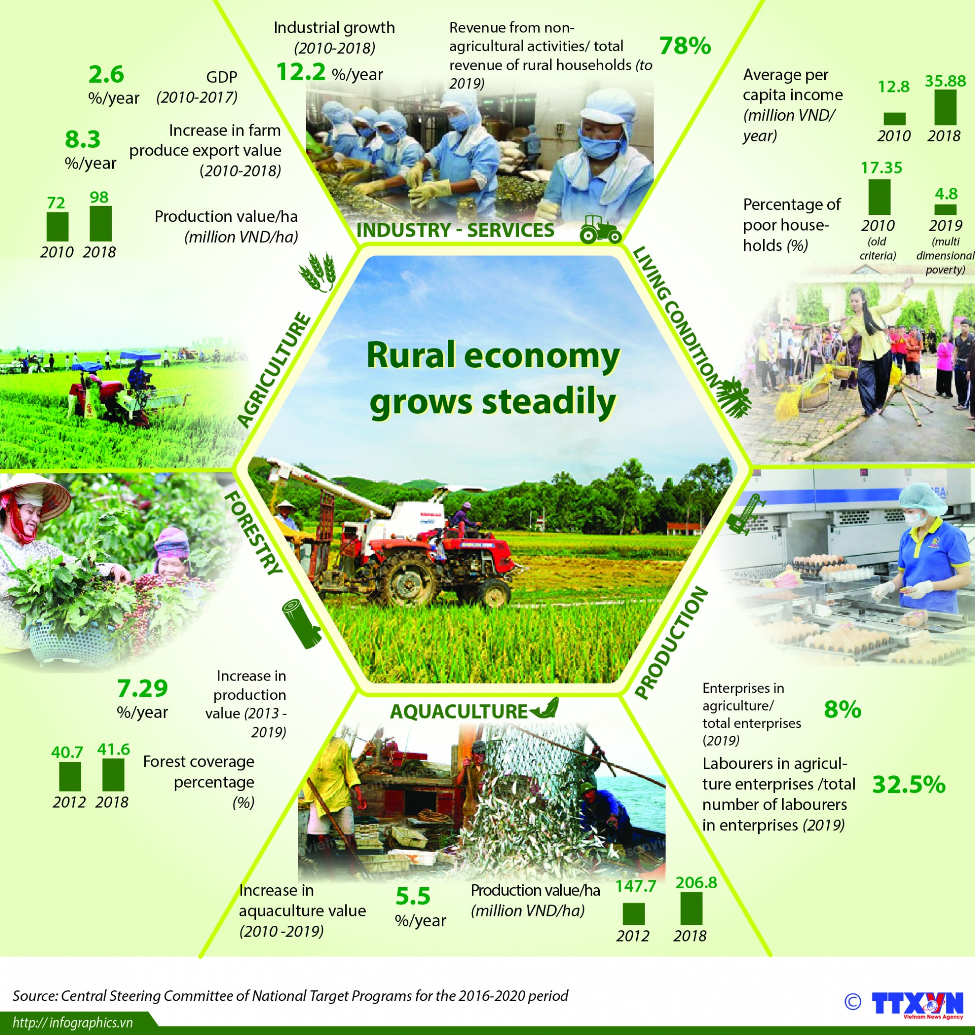 rural economy grows steadily
