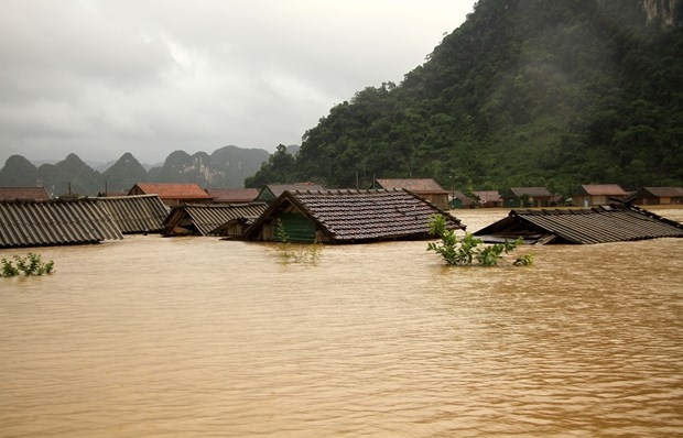 Central steering committee urges continued actions in response to floods in central region