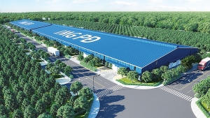 Long An gifted the spotlight with new IMG industrial park
