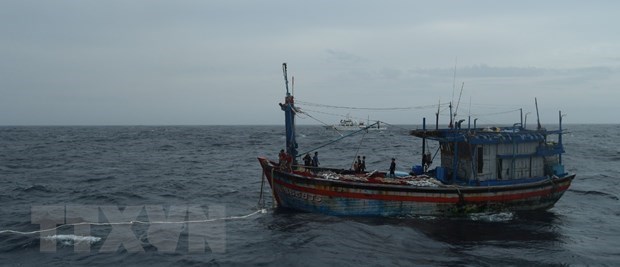 three binh dinh fishermen adrift at sea saved