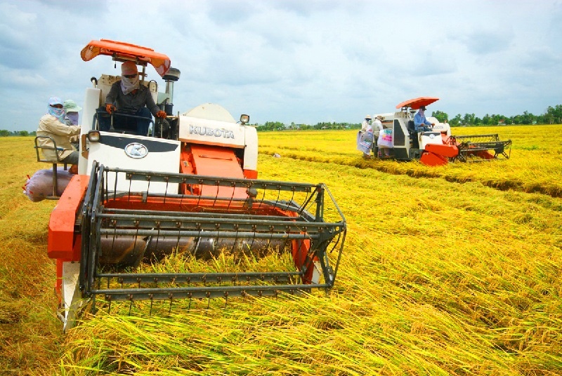 Agricultural troubles hampering business recovery