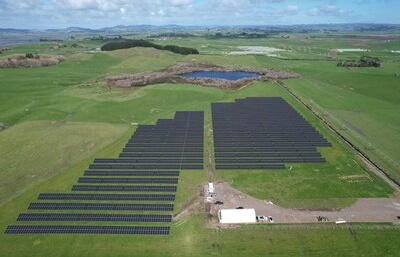 Trinasolar partners with Kiwi Solar and Trilect to launch Waikato, New Zealand's first Agrivoltaics Project