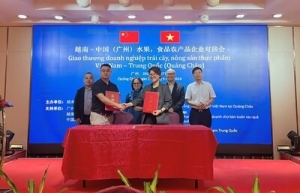 Betrimex signs mou with Jiangnan Market Imported Fruit Chamber of commerce to pioneer fresh coconut exports to China