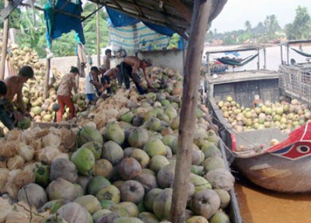 Local prices overwhelmed by demand from Chinese market