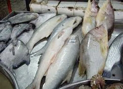 malaysian fish exports to eu resume after long suspension