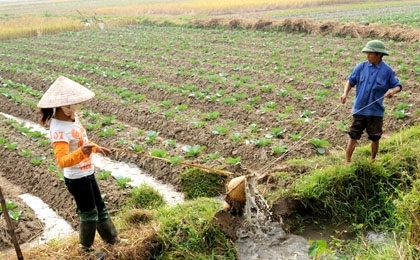 Growth drives Vietnam’s human development progress