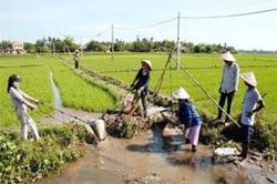 agricultural production gets credit priority