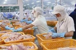 vietnam uae to foster cooperation in seafood export