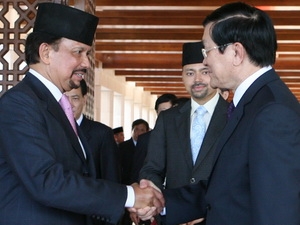 Vietnam, Brunei enhance multi-faceted cooperation