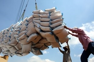 can tho targets 13 mln tonnes of rice in 2014