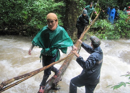 wildlife trek in jungle offers both challenges and rewards