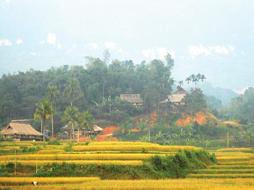 thanh hoa climbs development slope