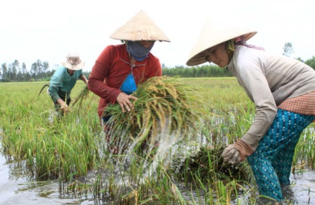 current credit arrangements stifle farmers