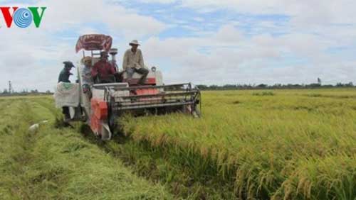 mekong river delta prepared for tpp participation