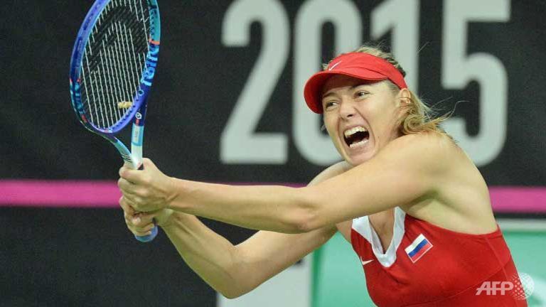 pliskova shines as czechs win fourth fed cup in five years