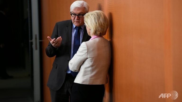 steinmeier thought paris blast was fireworks