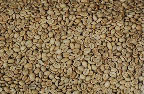 raw coffee price highest in last three years