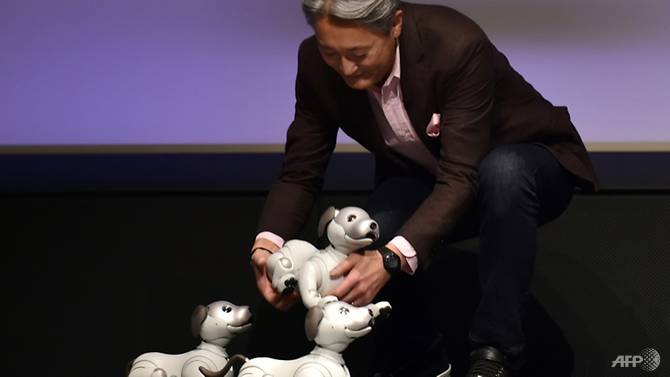 sony revives robot pet dog