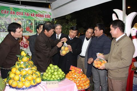 Festival promotes Bac Giang fruit industry
